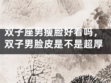 双子座男瘦脸好看吗，双子男脸皮是不是超厚