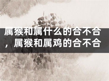 属猴和属什么的合不合，属猴和属鸡的合不合