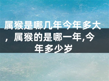 属猴是哪几年今年多大，属猴的是哪一年,今年多少岁
