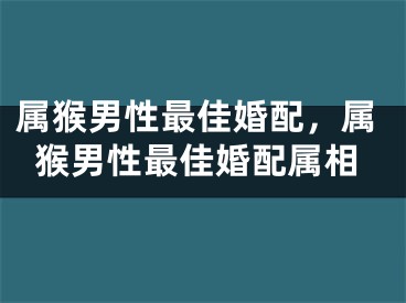 属猴男性最佳婚配，属猴男性最佳婚配属相