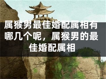 属猴男最佳婚配属相有哪几个呢，属猴男的最佳婚配属相