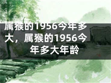 属猴的1956今年多大，属猴的1956今年多大年龄