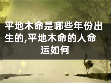 平地木命是哪些年份出生的,平地木命的人命运如何