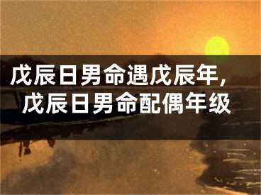 戊辰日男命遇戊辰年,戊辰日男命配偶年级