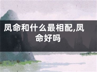 凤命和什么最相配,凤命好吗