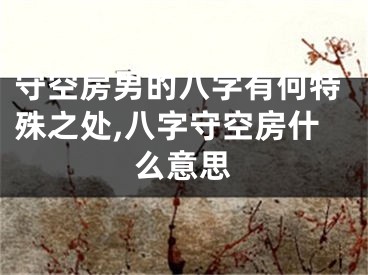 守空房男的八字有何特殊之处,八字守空房什么意思