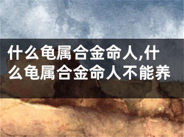什么龟属合金命人,什么龟属合金命人不能养