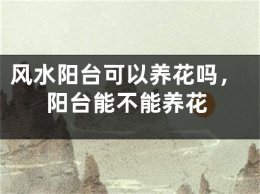 风水阳台可以养花吗,阳台能不能养花