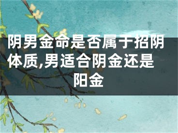 阴男金命是否属于招阴体质,男适合阴金还是阳金