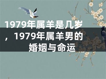 1979年属羊是几岁，1979年属羊男的婚姻与命运