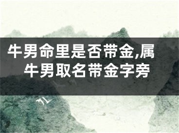 牛男命里是否带金,属牛男取名带金字旁