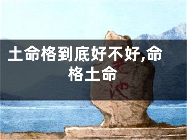 土命格到底好不好,命格土命