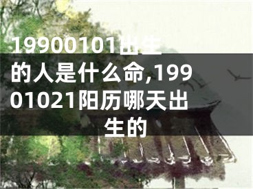 19900101出生的人是什么命,19901021阳历哪天出生的
