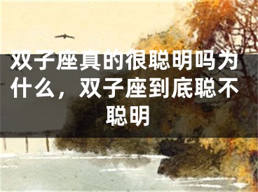 双子座真的很聪明吗为什么，双子座到底聪不聪明