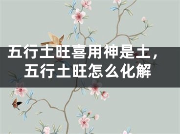 五行土旺喜用神是土,五行土旺怎么化解