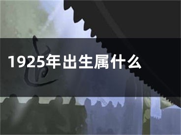 1925年出生属什么