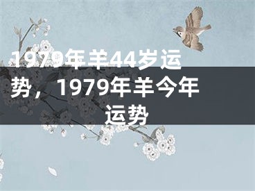 1979年羊44岁运势，1979年羊今年运势