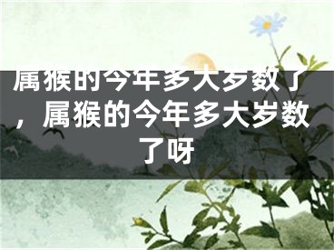 属猴的今年多大岁数了，属猴的今年多大岁数了呀
