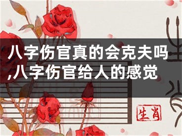 八字伤官真的会克夫吗,八字伤官给人的感觉