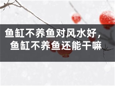 鱼缸不养鱼对风水好，鱼缸不养鱼还能干嘛