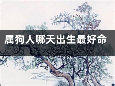 属狗人哪天出生最好命