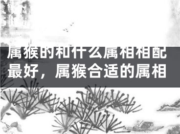 属猴的和什么属相相配最好，属猴合适的属相