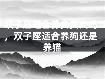 双子座适合养贵宾犬吗，双子座适合养狗还是养猫