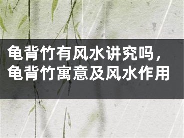 龟背竹有风水讲究吗，龟背竹寓意及风水作用