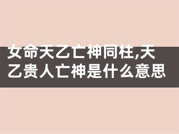 女命天乙亡神同柱,天乙贵人亡神是什么意思