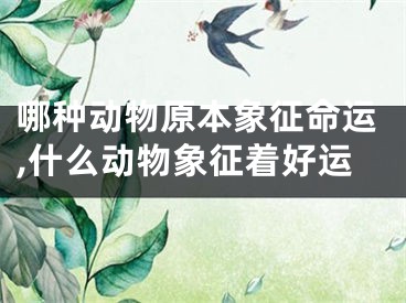 哪种动物原本象征命运,什么动物象征着好运