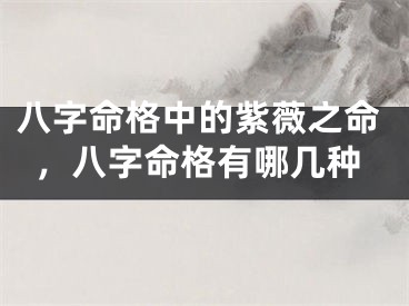 八字命格中的紫薇之命,八字命格有哪几种
