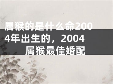 属猴的是什么命2004年出生的，2004属猴最佳婚配