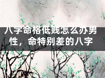 八字命格低贱怎么办男性,命特别差的八字