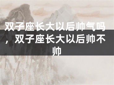 双子座长大以后帅气吗，双子座长大以后帅不帅