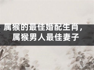 属猴的最佳婚配生肖，属猴男人最佳妻子