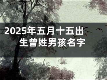 2025年五月十五出生曾姓男孩名字