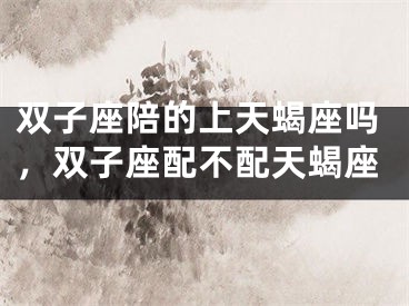 双子座陪的上天蝎座吗，双子座配不配天蝎座