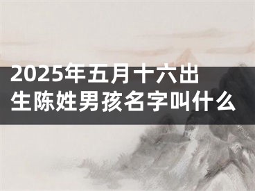 2025年五月十六出生陈姓男孩名字叫什么