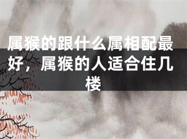 属猴的跟什么属相配最好，属猴的人适合住几楼