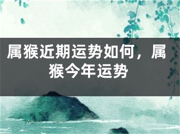 属猴近期运势如何，属猴今年运势