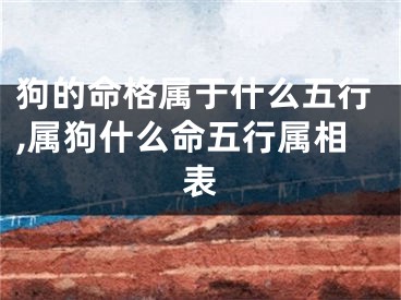 狗的命格属于什么五行,属狗什么命五行属相表