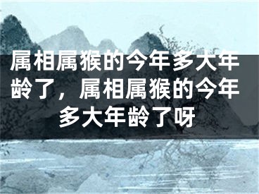 属相属猴的今年多大年龄了，属相属猴的今年多大年龄了呀