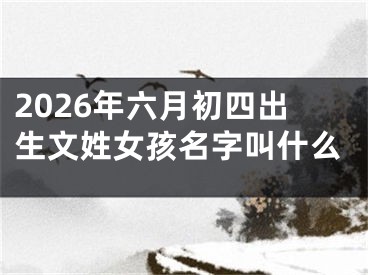 2026年六月初四出生文姓女孩名字叫什么