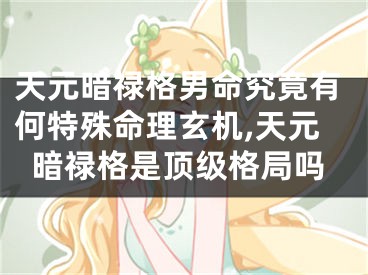 天元暗禄格男命究竟有何特殊命理玄机,天元暗禄格是顶级格局吗