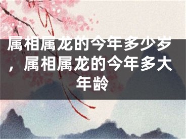 属相属龙的今年多少岁，属相属龙的今年多大年龄