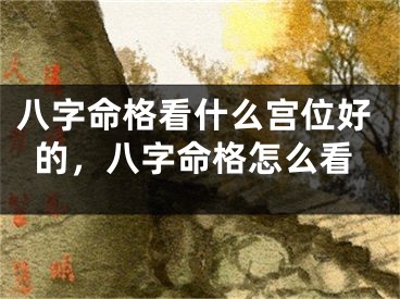 八字命格看什么宫位好的,八字命格怎么看