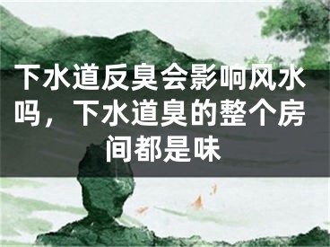 下水道反臭会影响风水吗，下水道臭的整个房间都是味