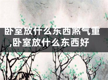 卧室放什么东西煞气重,卧室放什么东西好