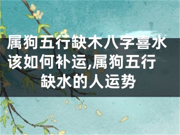 属狗五行缺木八字喜水该如何补运,属狗五行缺水的人运势
