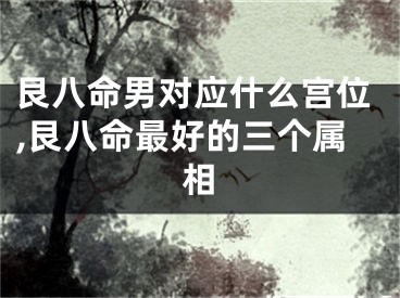 艮八命男对应什么宫位,艮八命最好的三个属相